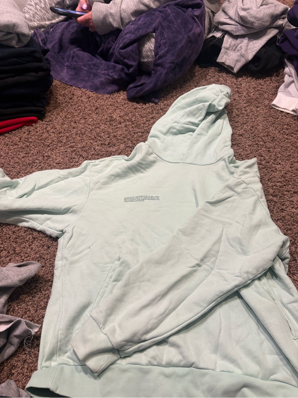 Teal pangaia sweatshirt